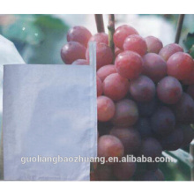 Chile Market Hot Selling UV Resistance Table Grape Paper Bag Cheap Price Single Layer Solid Paper Bag to Decrease The Hurts of Birds Bite